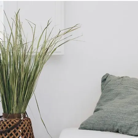 Mini Design Apt In San Mamolo Apartment